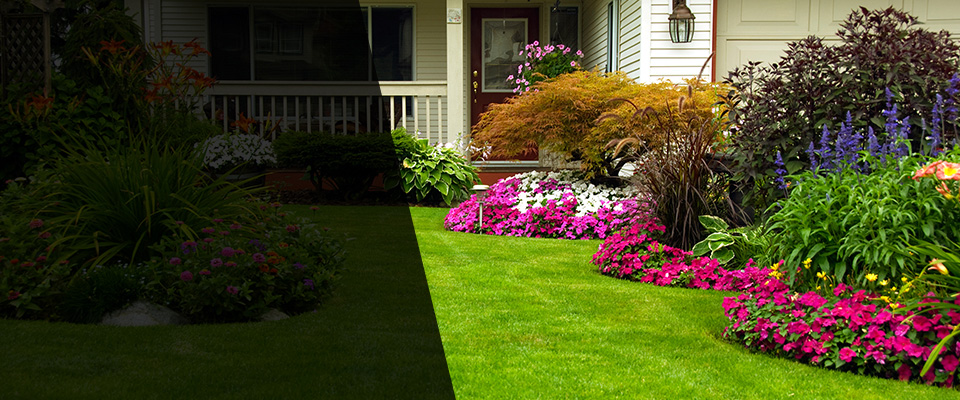 Big Bear Lake Landscapers